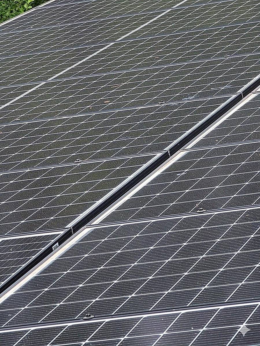 Same solar panels after a Solar Alchemist clean — reflecting the trees overhead like a mirror