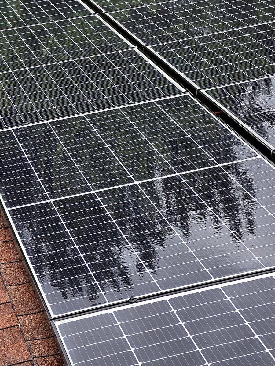 Solar panels coated in a fine layer of pollen and mineral film — looks fine from the ground