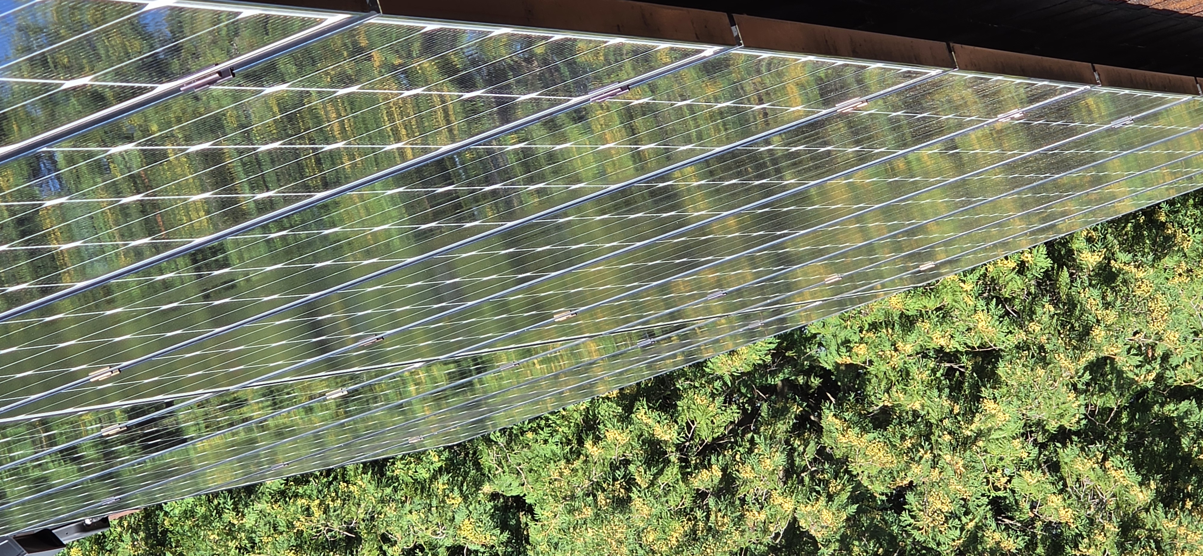Same rooftop solar array after Solar Alchemist cleaning — glass is mirror-clean and clearly reflects the surrounding tree canopy and chimney