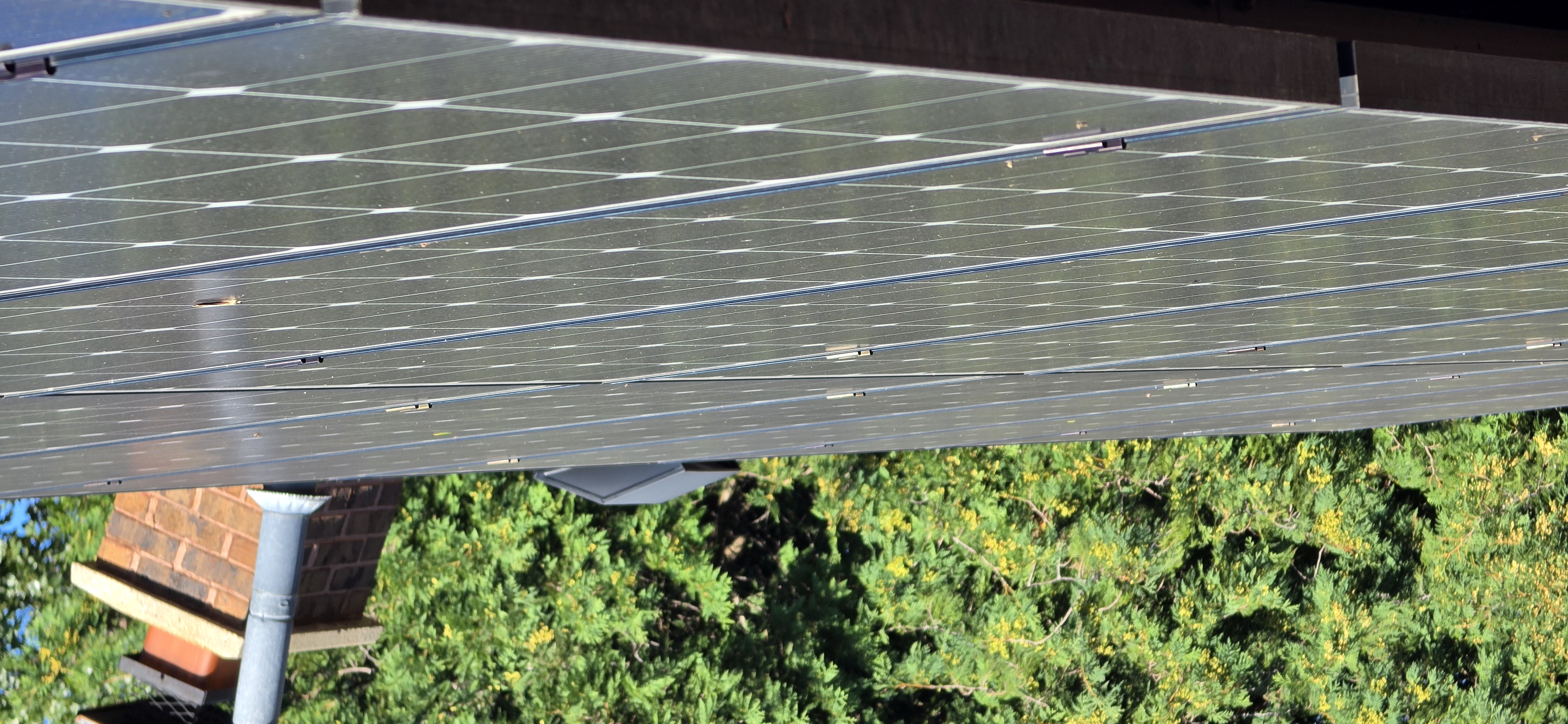 Rooftop solar array in Dane County covered with pollen, dust, and leaf litter from a mature ash tree overhead — panels look dark and flat, non-reflective